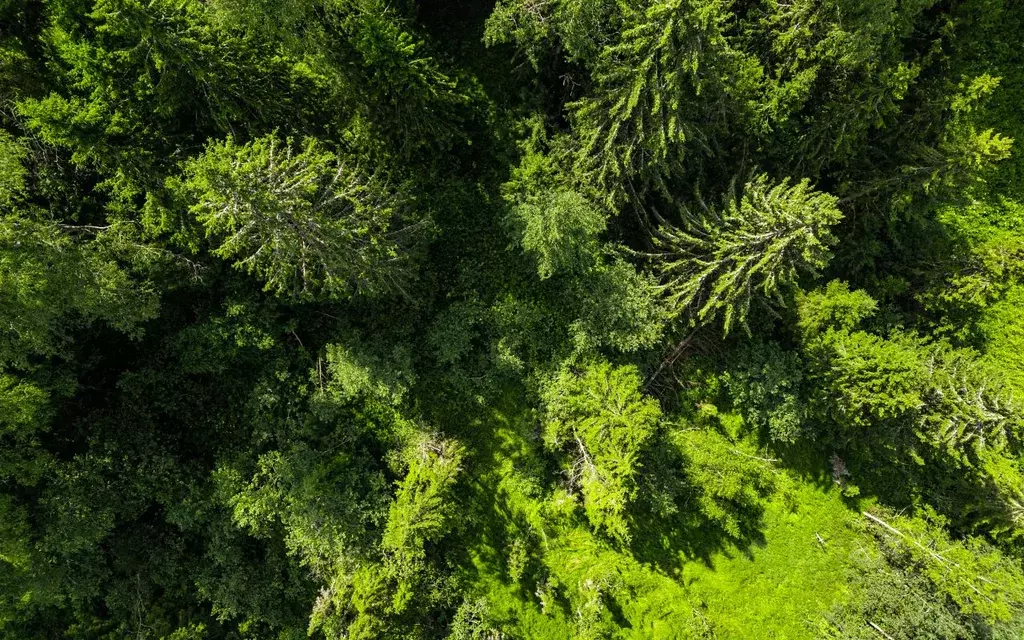 Участок в Московская область, Волоколамский муниципальный округ, ... - Фото 1