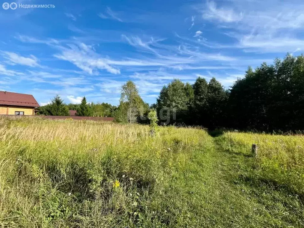 Участок в Медведевский район, Руэмское сельское поселение, деревня ... - Фото 1