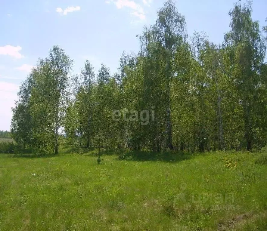 Участок в Свердловская область, Красноуральск ул. Лермонтова (15.0 ... - Фото 0