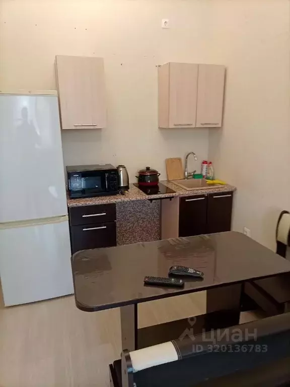 Студия Санкт-Петербург 1-й Предпортовый проезд, 14 (25.0 м) - Фото 2