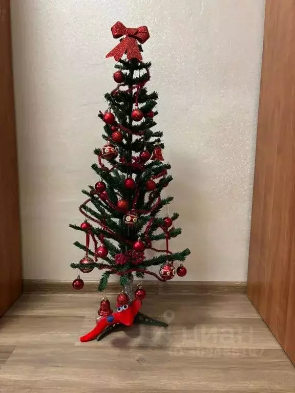 1-к кв. Адыгея, Майкоп ул. Патриса Лумумбы, 113 (25.0 м) - Фото 2