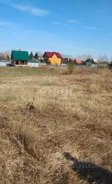 Участок в Новосибирская область, Колыванский район, Авиастроитель СНТ ... - Фото 0