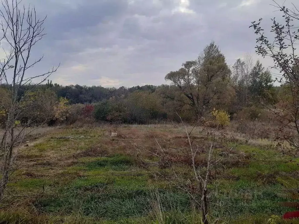 Участок в Белгородская область, Белгородский район, Комсомольское ... - Фото 1