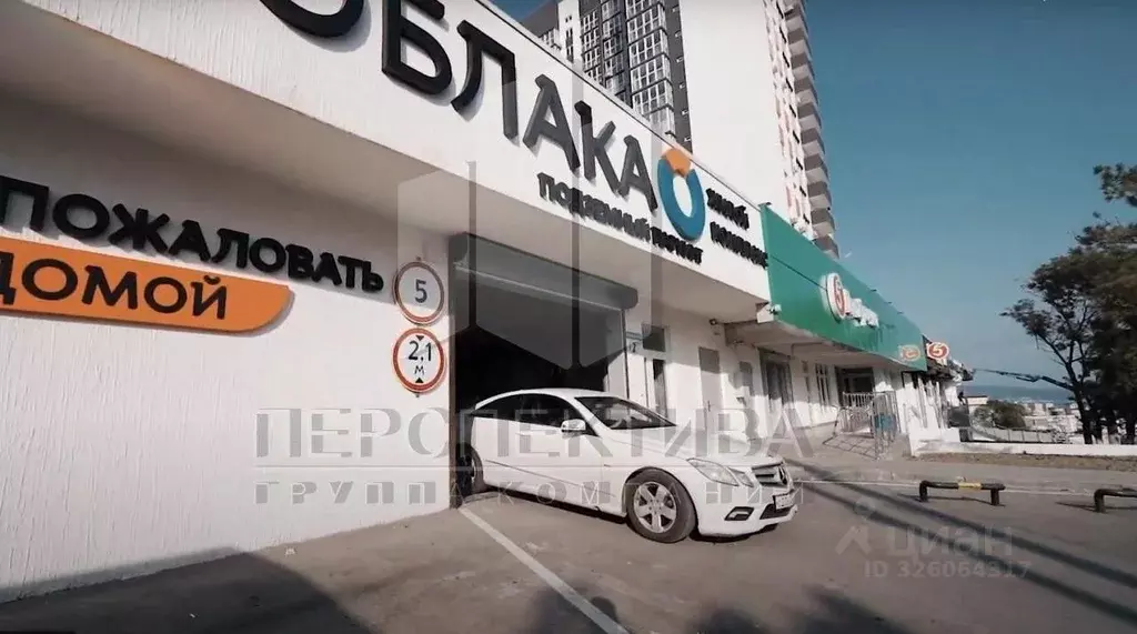 Офис в Краснодарский край, Новороссийск ул. Куникова, 55к2 (40 м) - Фото 2