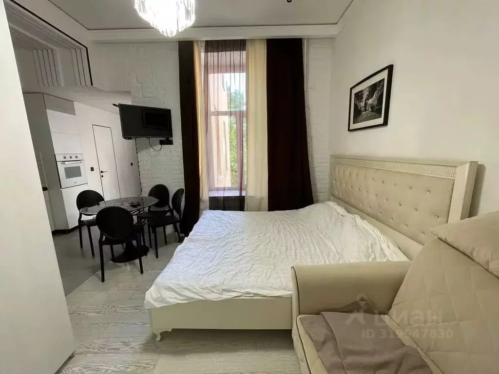 1-к кв. Санкт-Петербург наб. Канала Грибоедова, 42 (28.0 м) - Фото 0