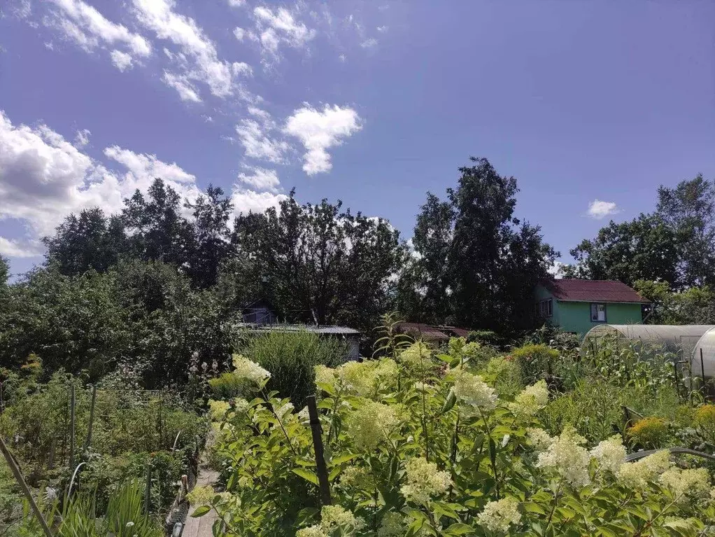 Дом в Хабаровский край, Хабаровский район, Мебельщик СТ  (25 м) - Фото 2