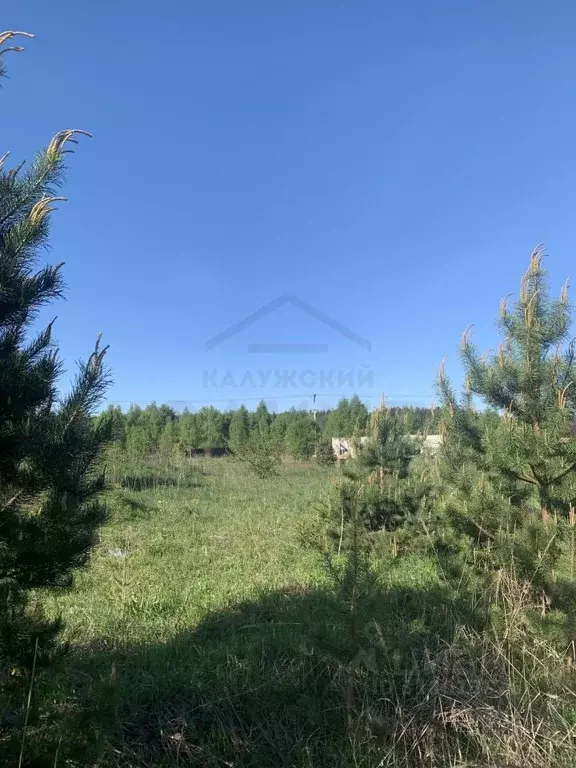 Участок в Калужская область, Перемышльский район, Большие Козлы с/пос, ... - Фото 0