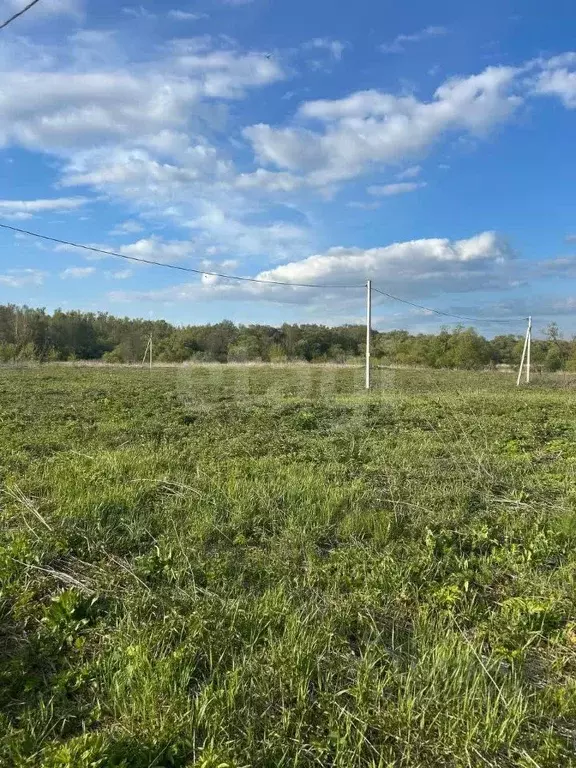 Участок в Тульская область, Тула городской округ, д. Медвенка  (13.7 ... - Фото 1