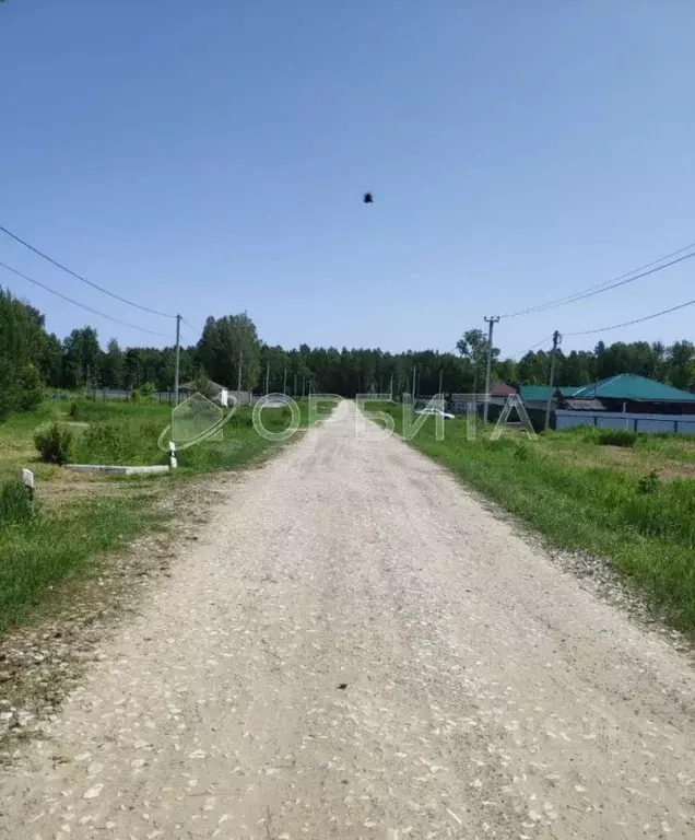 Участок в Тюменская область, Нижнетавдинский район, с. Тюнево ул. ... - Фото 1