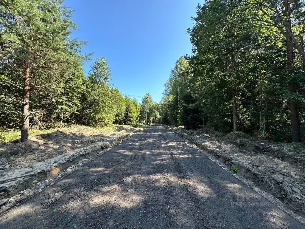 Участок в Московская область, Клин городской округ, Решетниково рп, ... - Фото 1