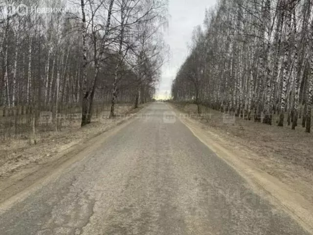 Участок в Казань, садоводческое товарищество Кооператор, 359 (3 м) - Фото 2