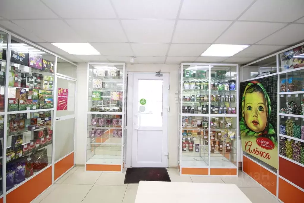 Помещение свободного назначения в Забайкальский край, Чита ул. ... - Фото 1