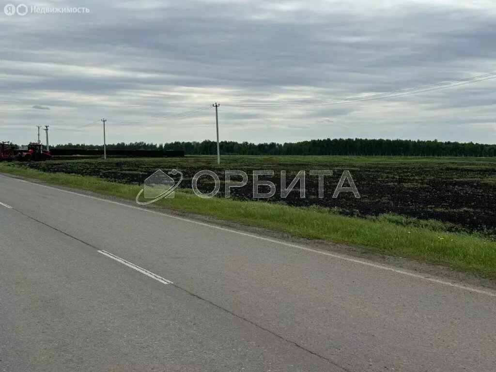 Участок в Тюменский район, деревня Ушакова (24 м) - Фото 1