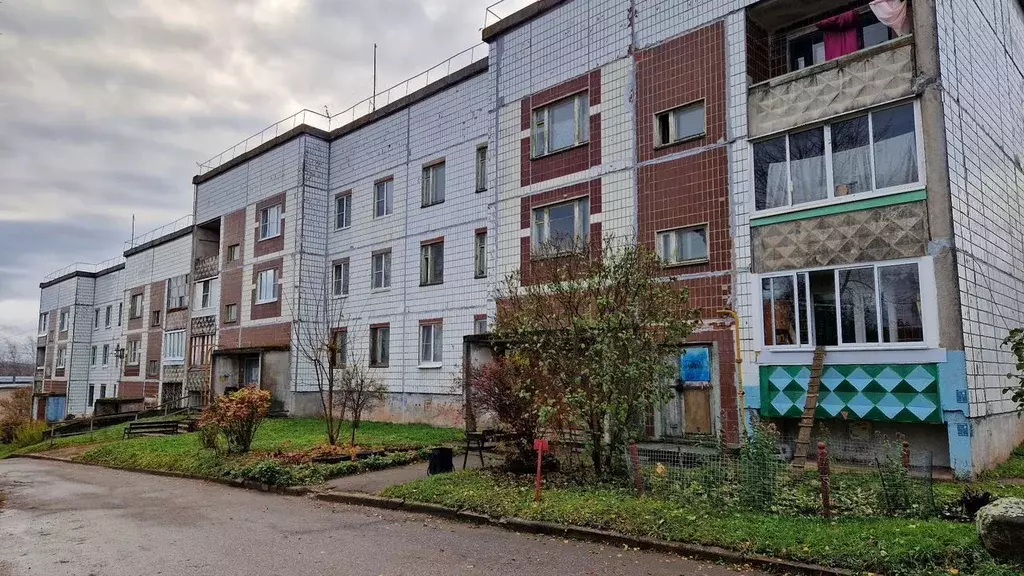 2-к кв. Ленинградская область, Бокситогорский район, д. Бор 32 (47.0 ... - Фото 1