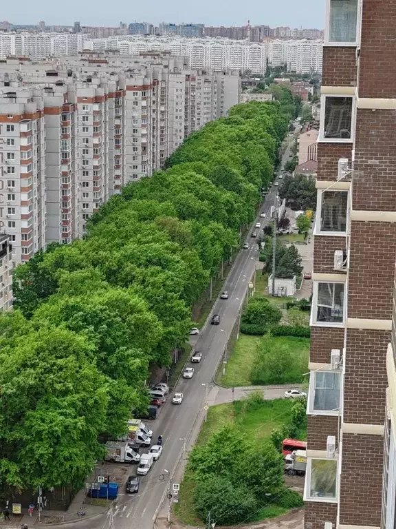 1-к кв. Краснодарский край, Краснодар ул. Домбайская, 55к7 (35.0 м) - Фото 1