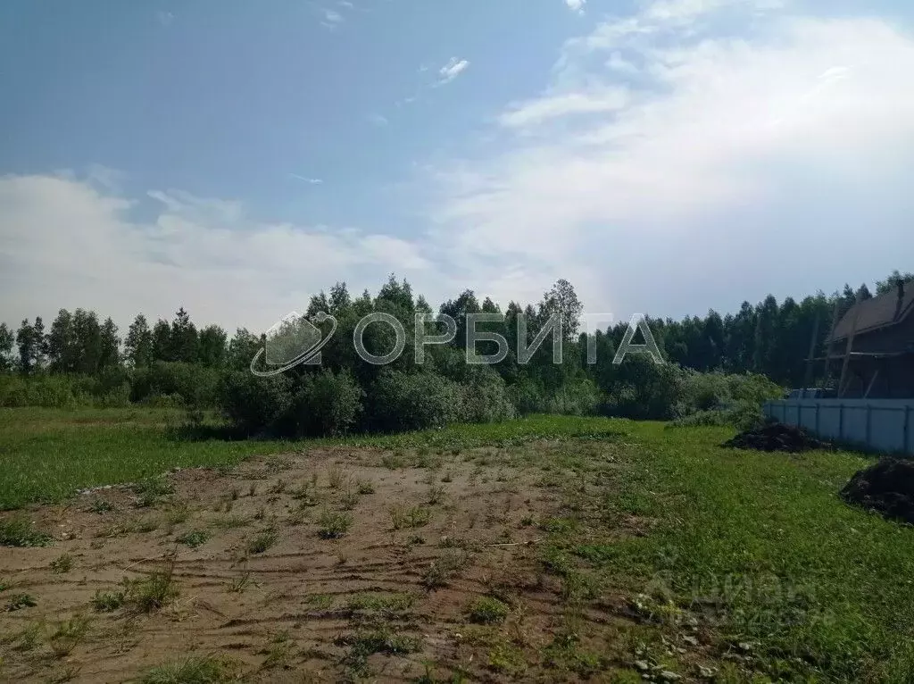 Участок в Тюменская область, Тюмень Садовое товарищество Липовый ... - Фото 2