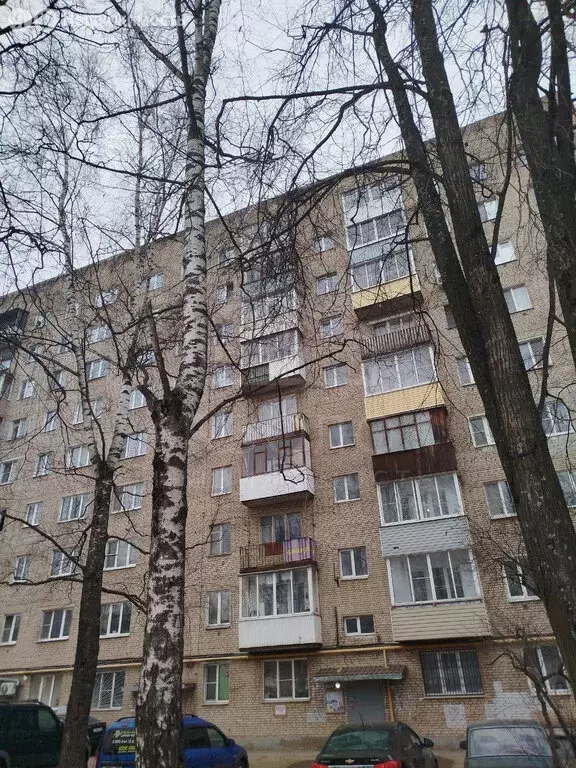 1-комнатная квартира: Сергиев Посад, проспект Красной Армии, 3 (28 м) - Фото 0