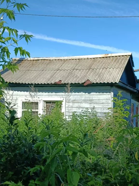 Участок в Оренбургская область, Оренбургский район, Ленинский ... - Фото 0