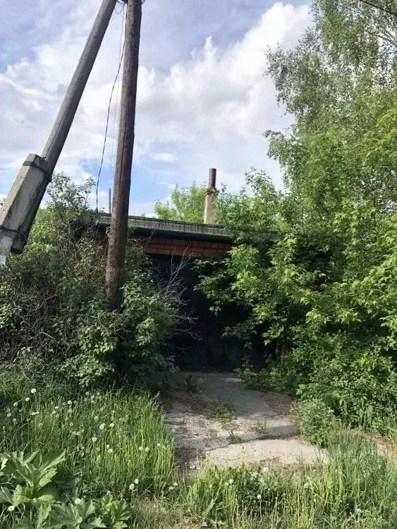 Участок в Кемеровская область, Топкинский район, с. Топки ул. 60 лет ... - Фото 1