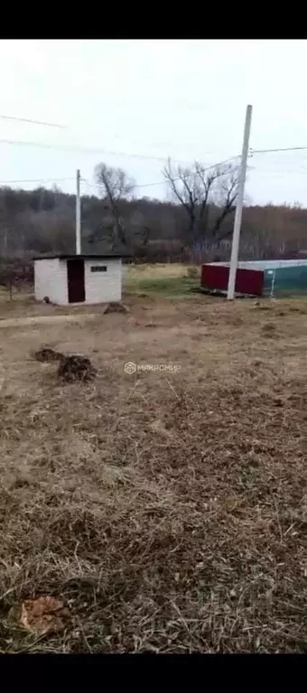 Участок в Орловская область, Орловский район, Нива СНТ 23-я линия ... - Фото 1