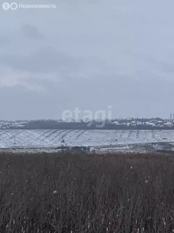 Участок в Белгородский район, Головинское сельское поселение, село ... - Фото 1