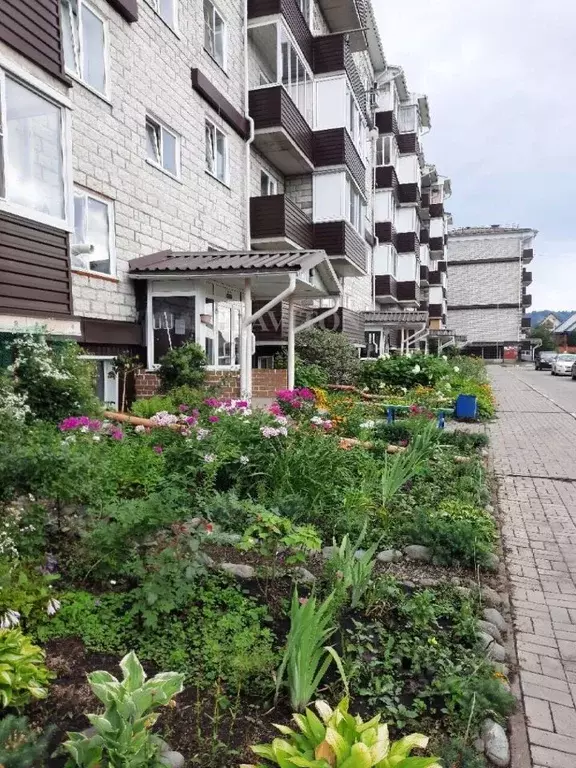 1-к кв. Алтай, Майминский район, с. Майма ул. Д. Климкина, 20к2 (36.5 ... - Фото 1