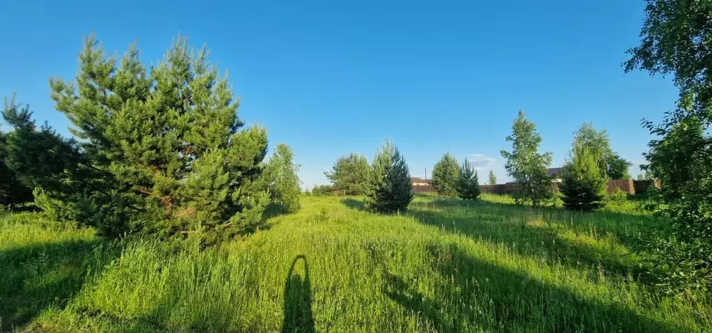 Участок в Тульская область, Ясногорский район, с. Иваньково ул. ... - Фото 0