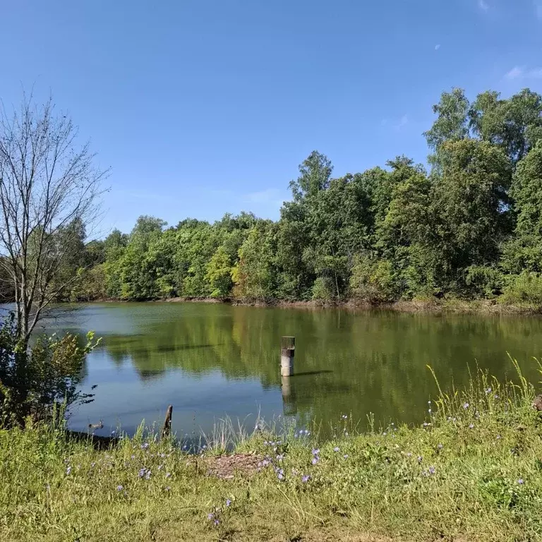 Дом в Башкортостан, Кармаскалинский район, Подлубовский сельсовет, ... - Фото 2
