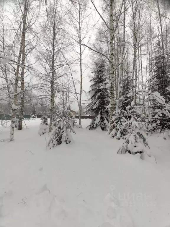 Участок в Московская область, Солнечногорск городской округ, Звездочка ... - Фото 2