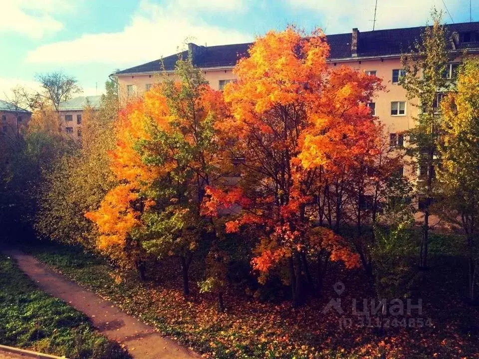 2-к кв. Новгородская область, Великий Новгород Хутынская ул., 6А (47.3 ... - Фото 0