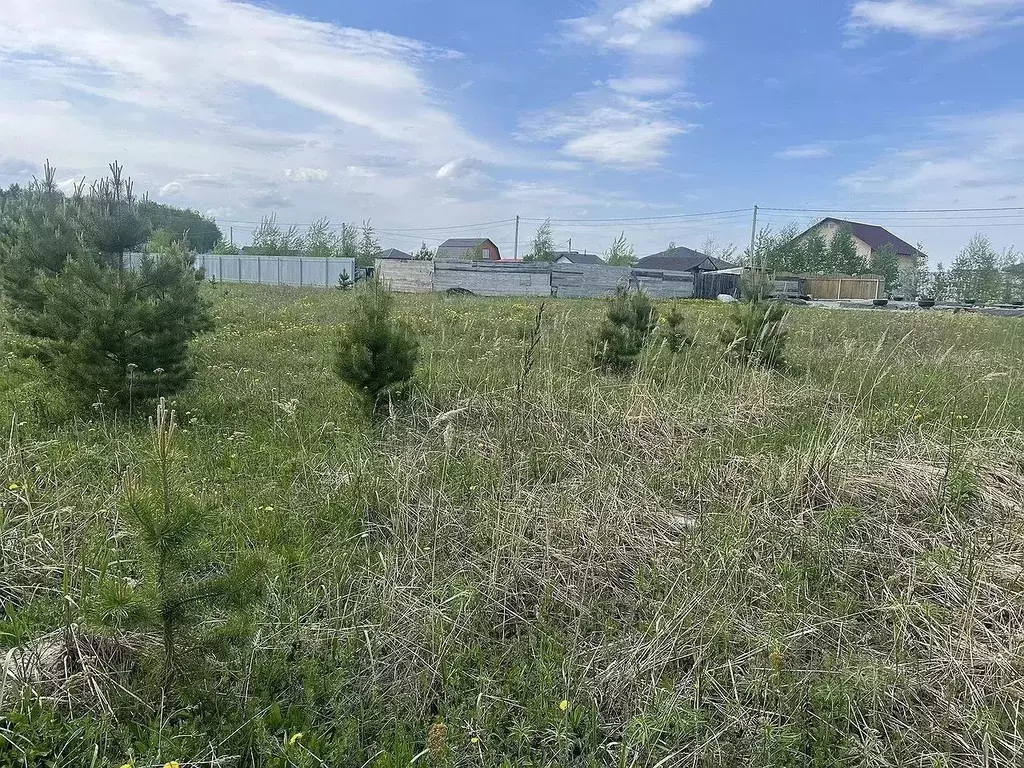 Участок в Тюменская область, Тюменский район, Серебряный бор ТСН ул. ... - Фото 2