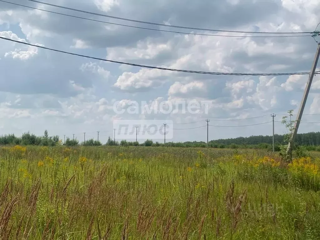 Участок в Тульская область, Ясногорский район, Иваньковское с/пос, с. ... - Фото 1