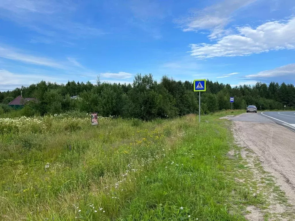 Участок в Архангельская область, Приморский муниципальный округ, Ясная ... - Фото 0