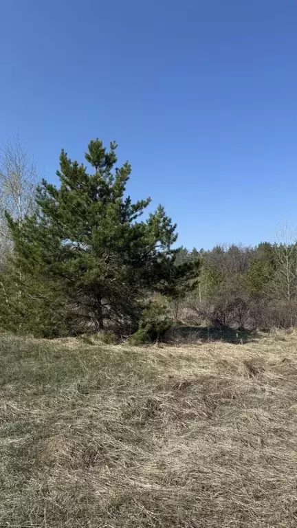 Участок в Самарская область, Ставропольский район, с. Ягодное бул. ... - Фото 1