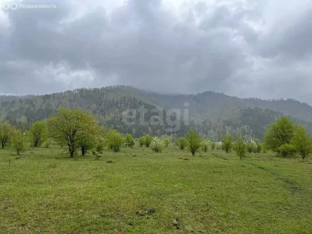 Участок в село Узнезя, переулок Медуница (12 м) - Фото 2