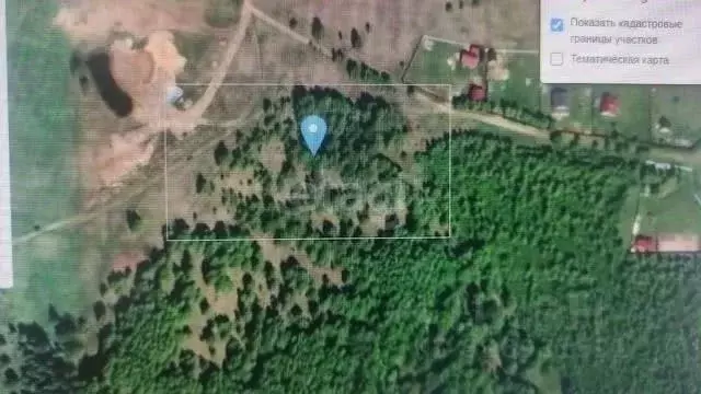 Участок в Ярославская область, Некрасовский муниципальный округ, д. ... - Фото 1