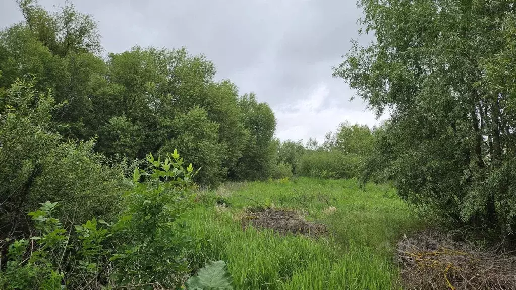 Участок в Воронежская область, с. Новая Усмань ул. Колхозная (24.0 ... - Фото 0