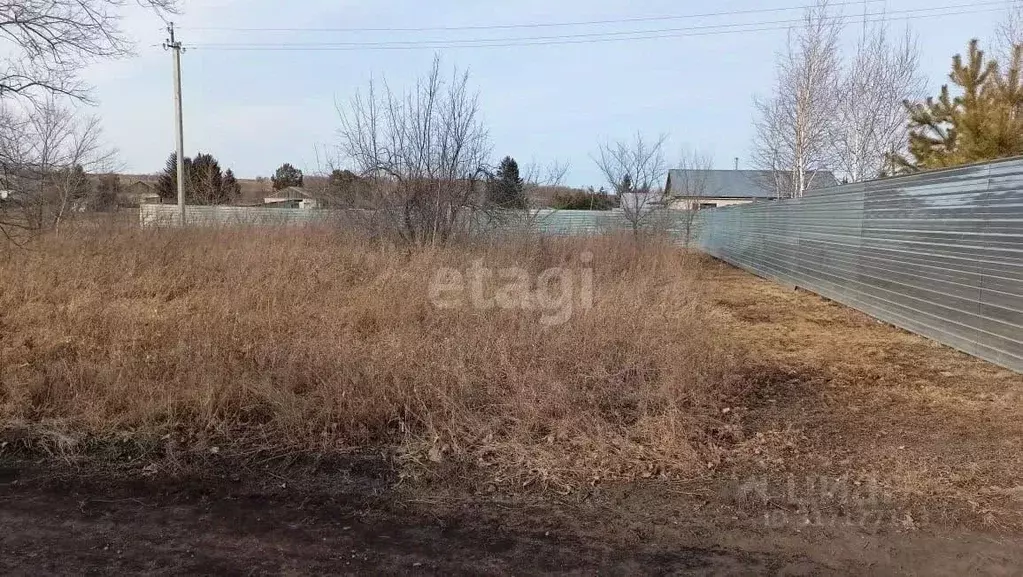 Участок в Амурская область, Серышевский муниципальный округ, с. ... - Фото 0