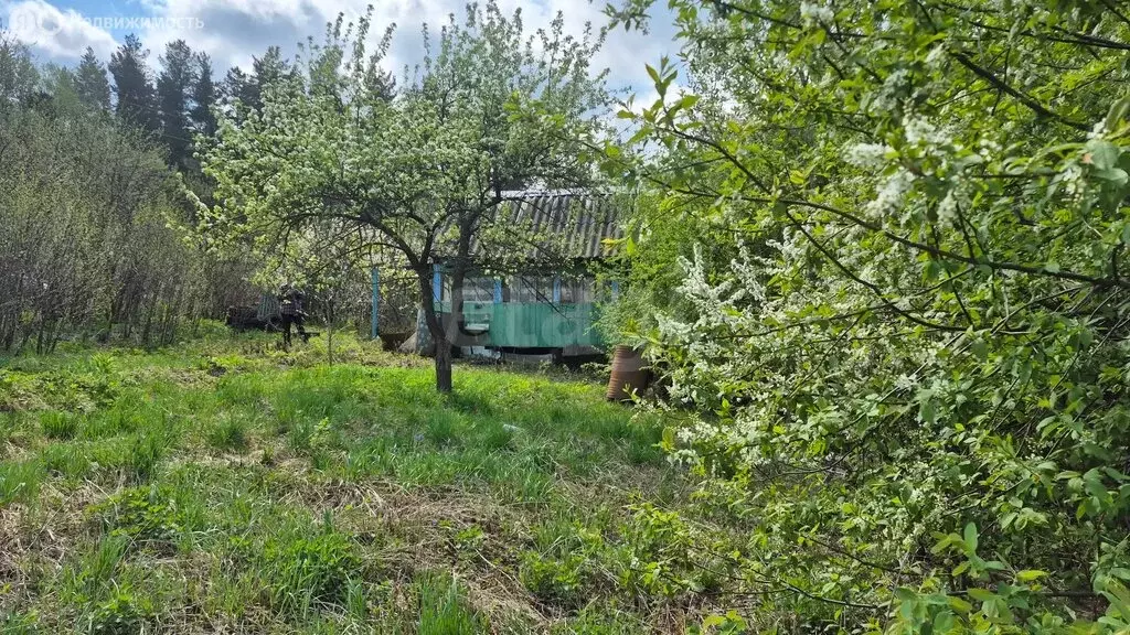 Участок в Миасс, СНТ Урал-5 (4.2 м) - Фото 2
