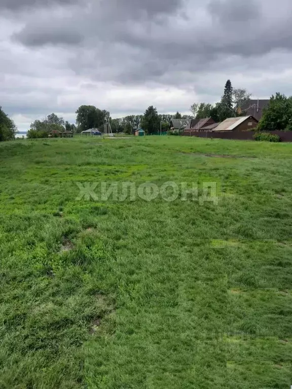 Участок в Новосибирская область, Ордынский район, с. Красный Яр ул. ... - Фото 1