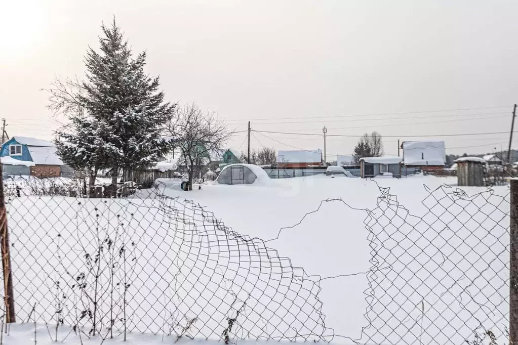 Участок в Новосибирская область, Бердск Росинка СНТ, ул. 16-я, 5 (5.0 ... - Фото 1