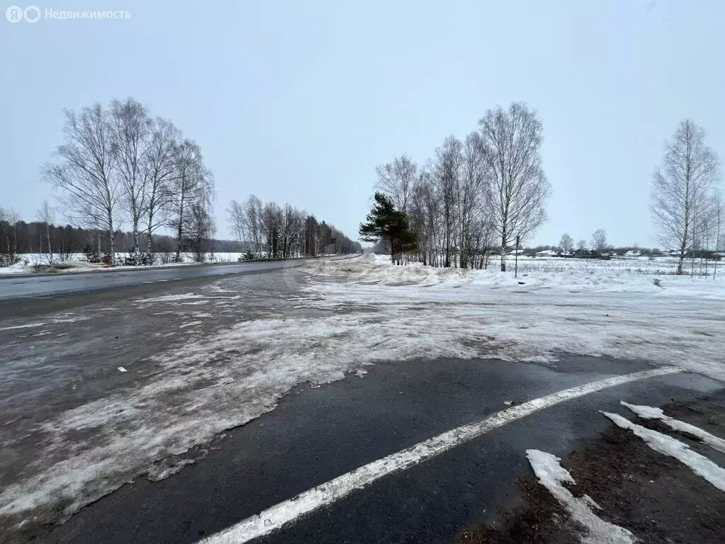 Участок в Хмелевское сельское поселение, посёлок Алексеевский (373 м) - Фото 1