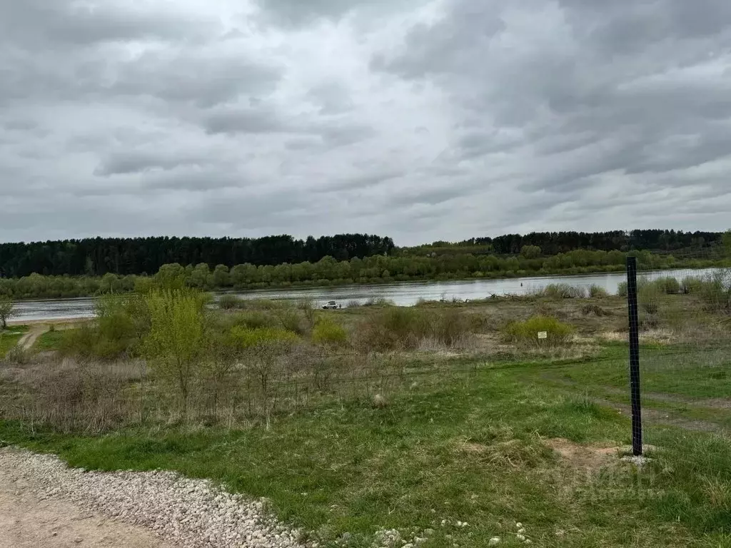 Участок в Тульская область, Алексин городской округ, д. Егнышевка  ... - Фото 0