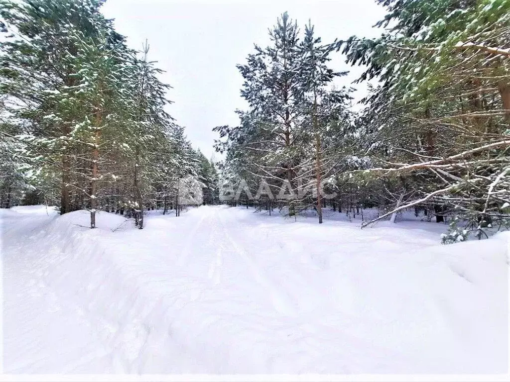 Участок в Владимирская область, Владимир Миловка СТ,  (61.3 сот.) - Фото 1