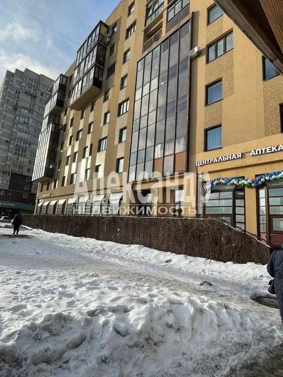 Торговая площадь в Санкт-Петербург просп. Энгельса, 136к1 (117 м) - Фото 1