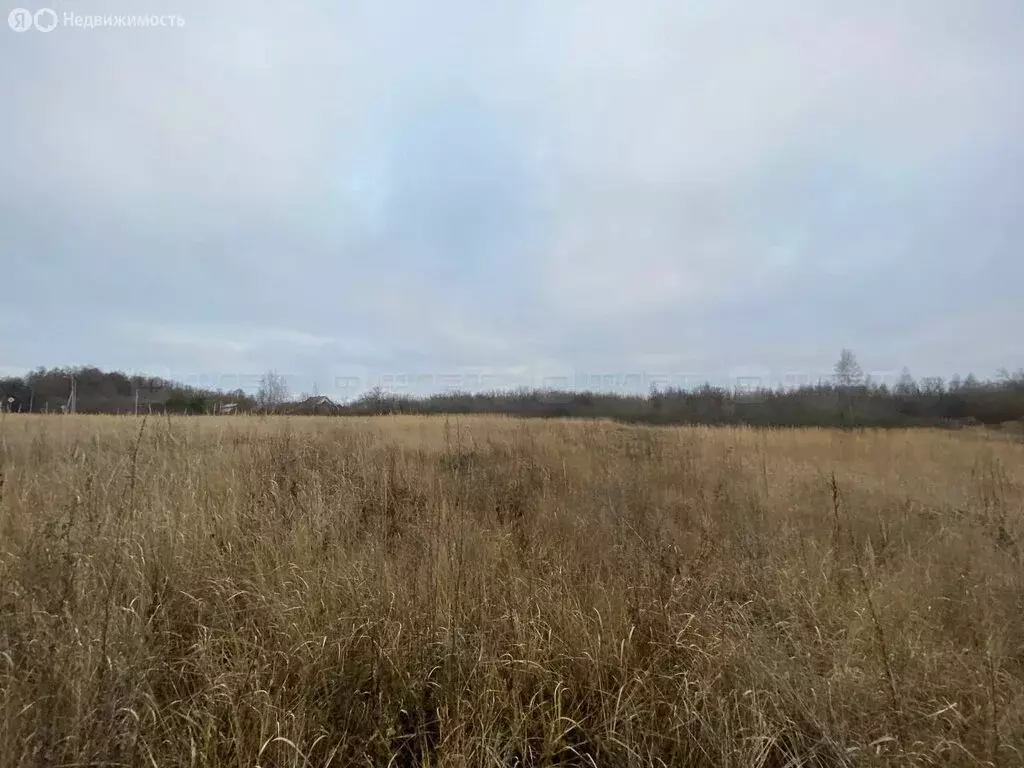 Участок в Теньки, улица Рубцова, 32 (10 м) - Фото 1