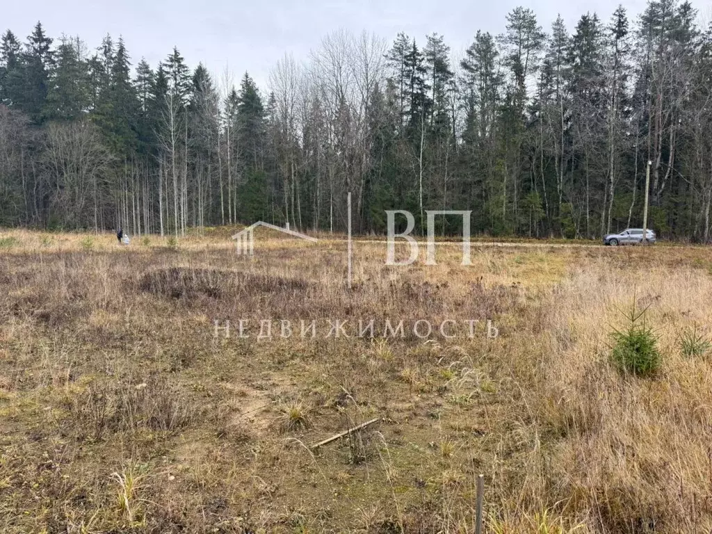 Участок в Ленинградская область, Гатчинский муниципальный округ, д. ... - Фото 2