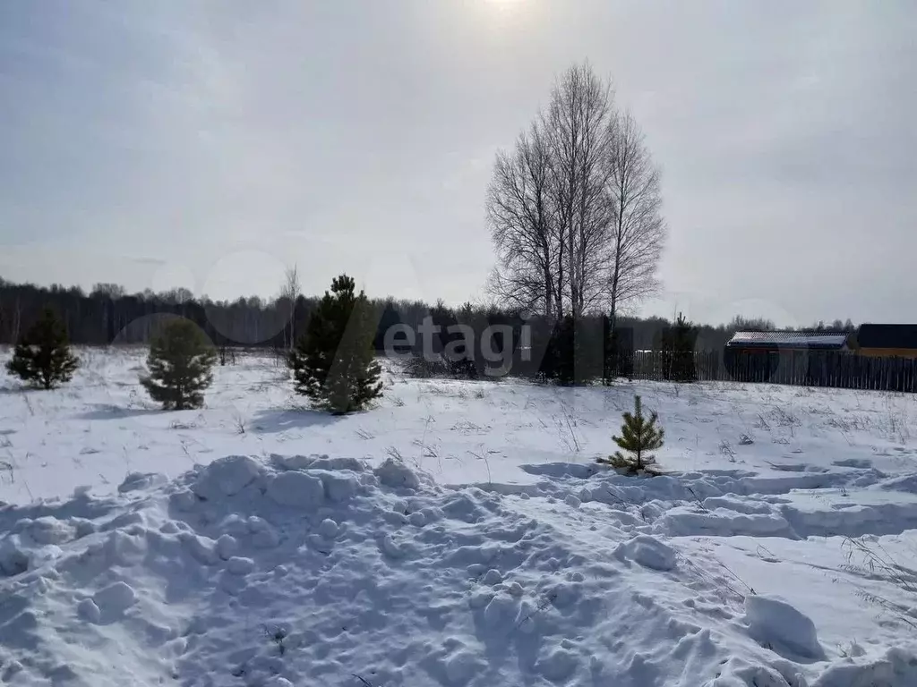 Участок 30 сот. (личное подсобное хозяйство (лпх)) - Фото 0