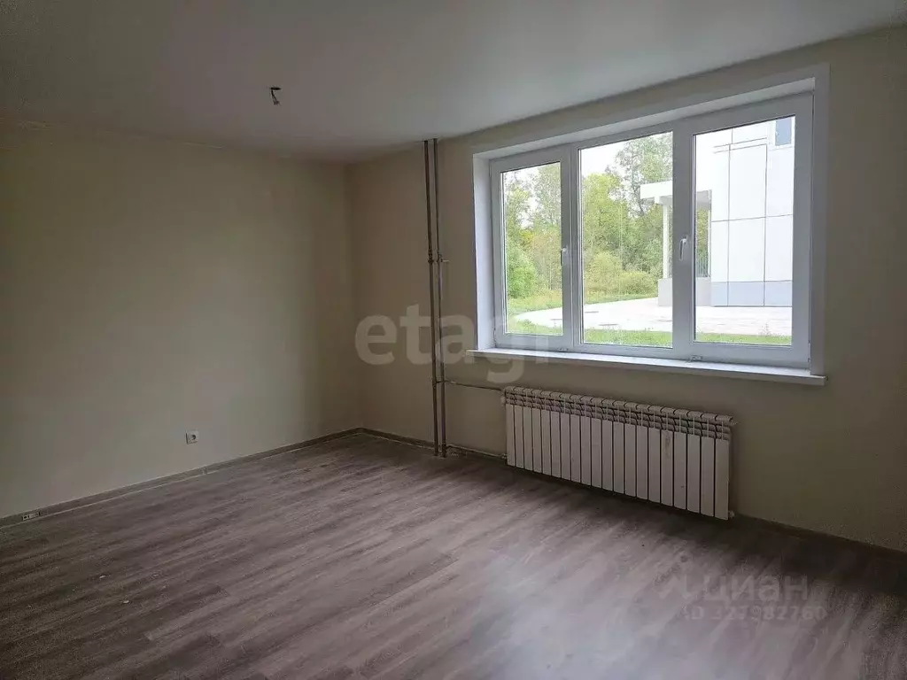 Студия Псковская область, Остров ул. Калинина, 82А (25.9 м) - Фото 2