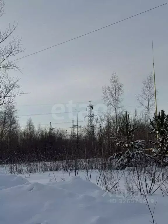 Участок в Алтайский край, Первомайский район, с. Березовка ул. Гоголя, ... - Фото 1